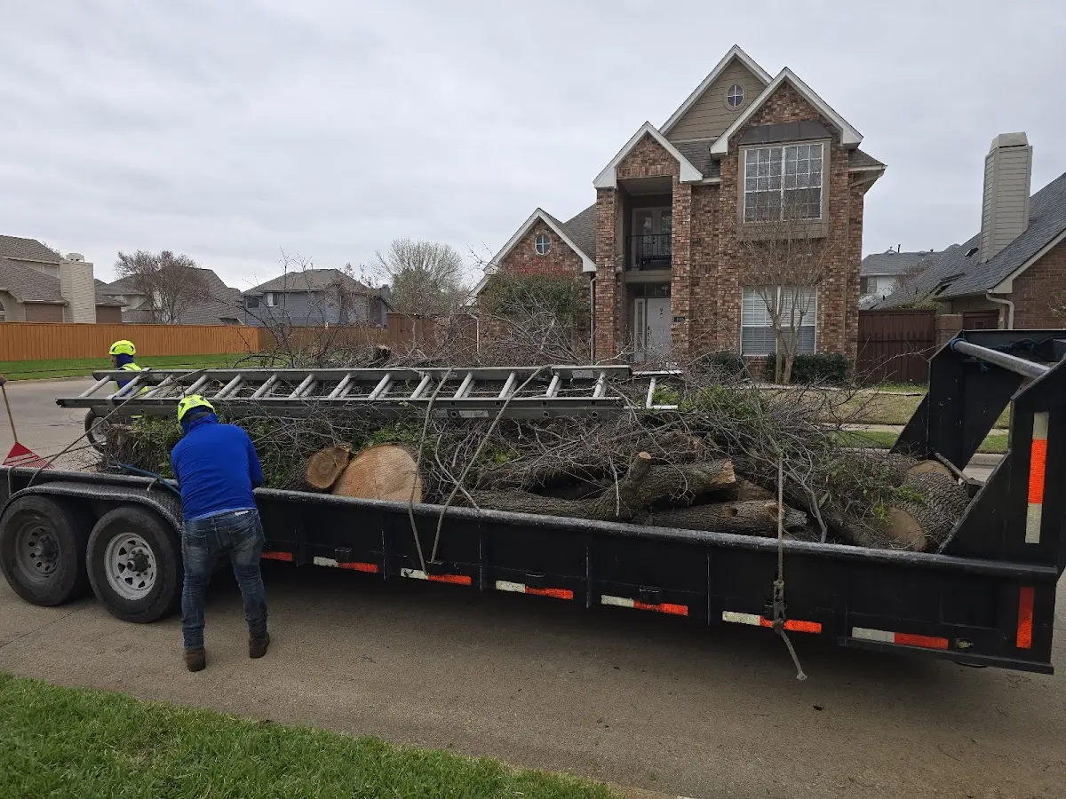 Expert Lot Clearing with proper safety equipment in Willis